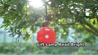 Geschenklampe, Leselampe